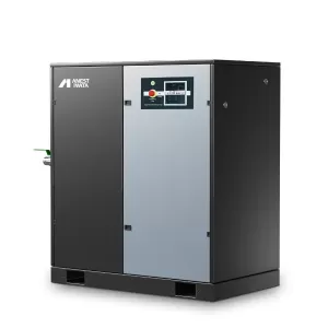 Máy nén khí trục vít 20 HP, 3 pha (INVERTER)